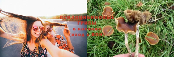 марки nbome Арсеньев
