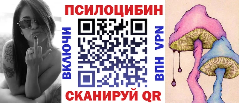 Псилоцибиновые грибы Cubensis  Мурино 